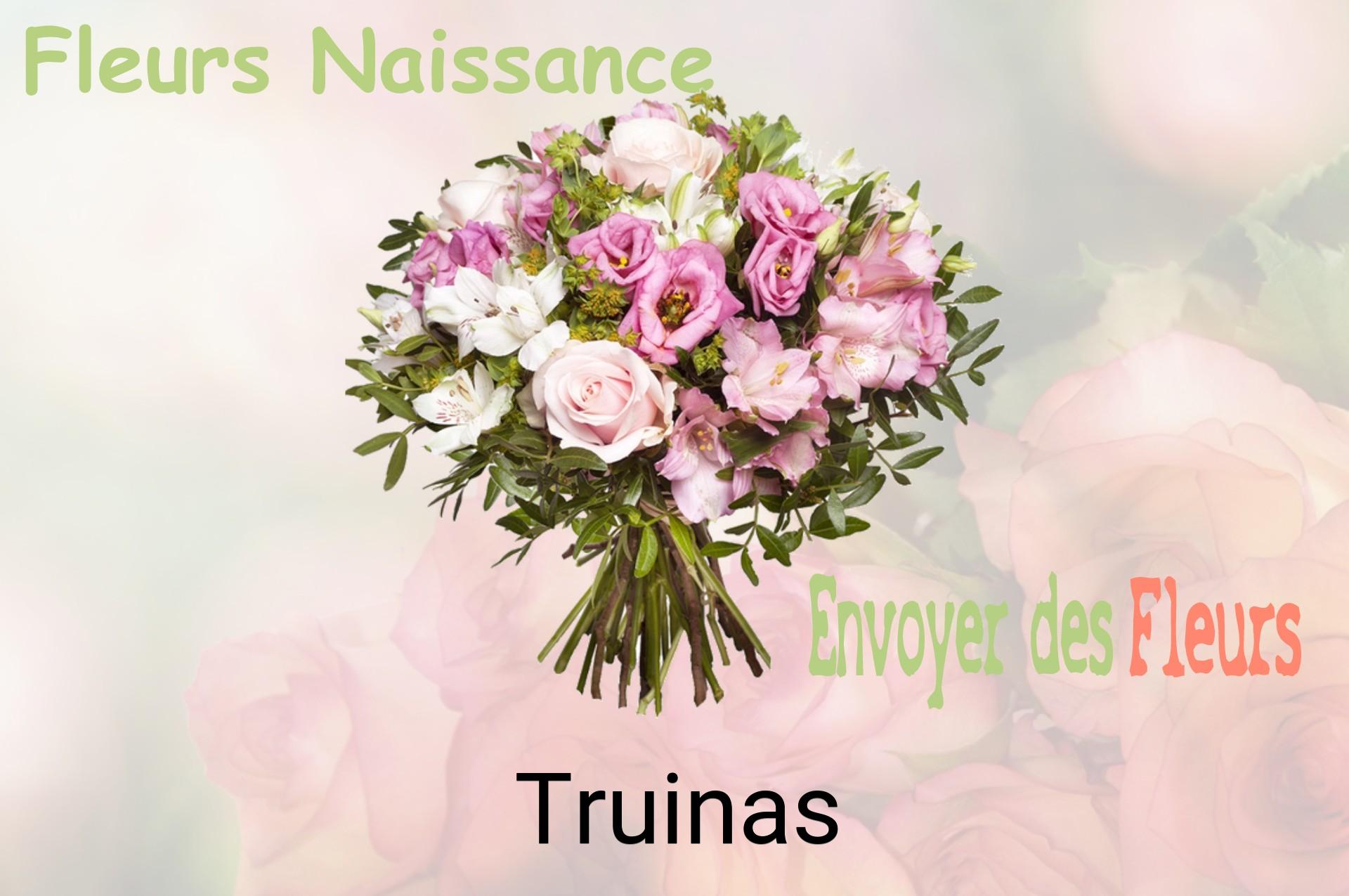 Bouquet de fleurs de naissance livré à Truinas